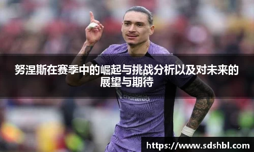 努涅斯在赛季中的崛起与挑战分析以及对未来的展望与期待